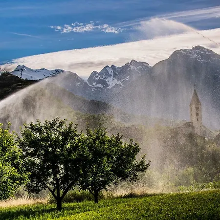 Апартаменты Quality